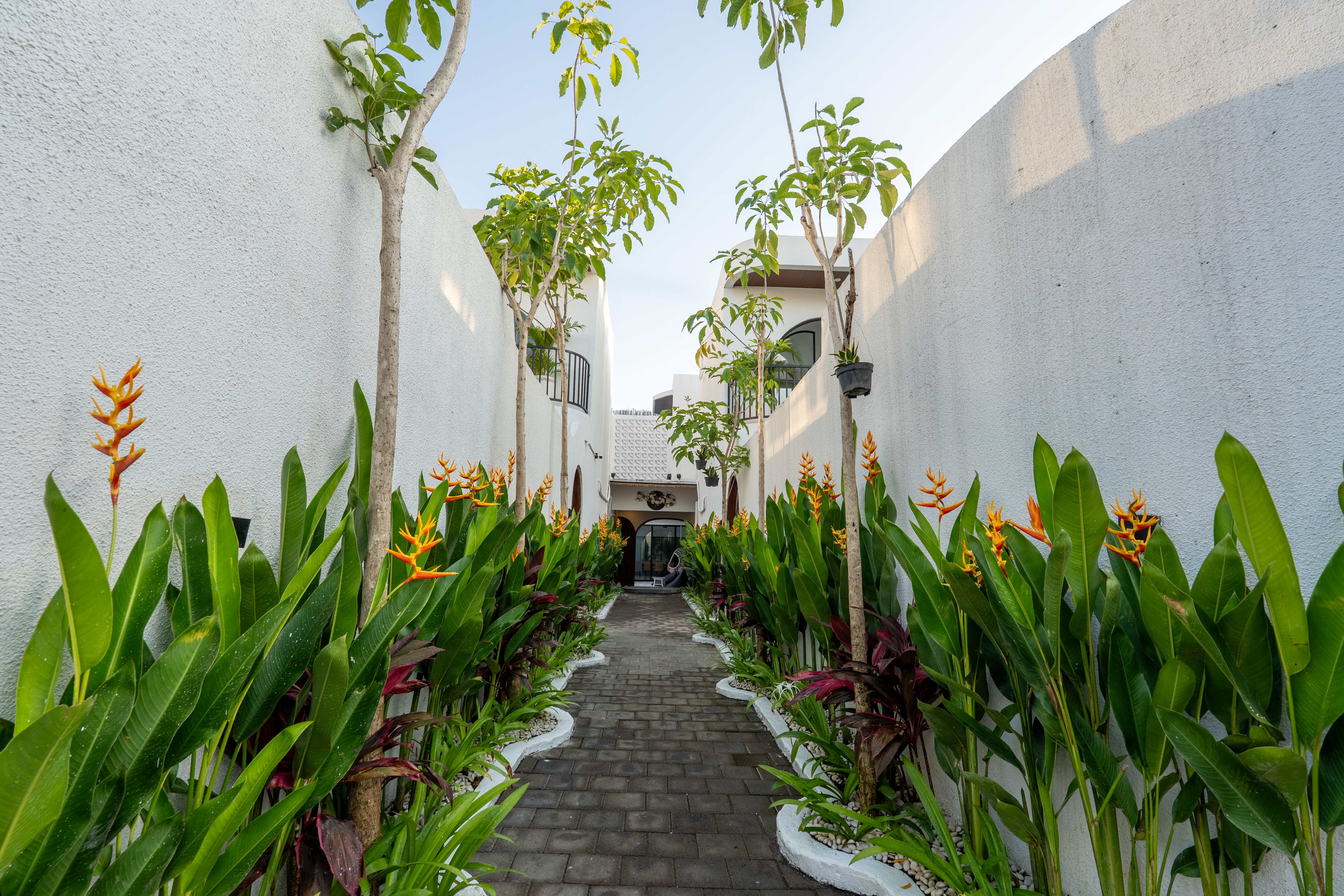 La Vilaya Villa Sanctuary Photo
